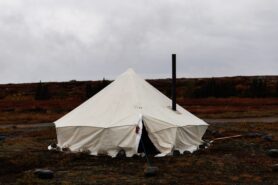 Healing on the Land