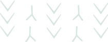 MOTIFS